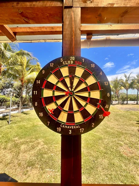 A dartboard hanging on a wooden post, with the lawn and palm trees behind it.