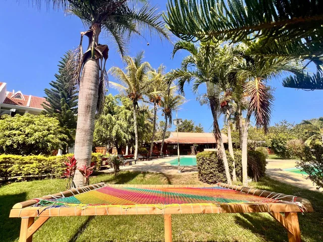 A colourful hammock net on a wooden frame on the lawn, with palm trees and a pool behind.