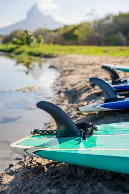 Paddle boards lined up on the shore below a mountain.