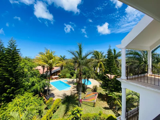 The garden and a pool seen from a balcony, between palm trees and tall pines.